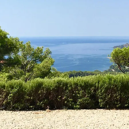 Location Vue Sur Mer Avec Piscine - Mesomax * Carqueiranne